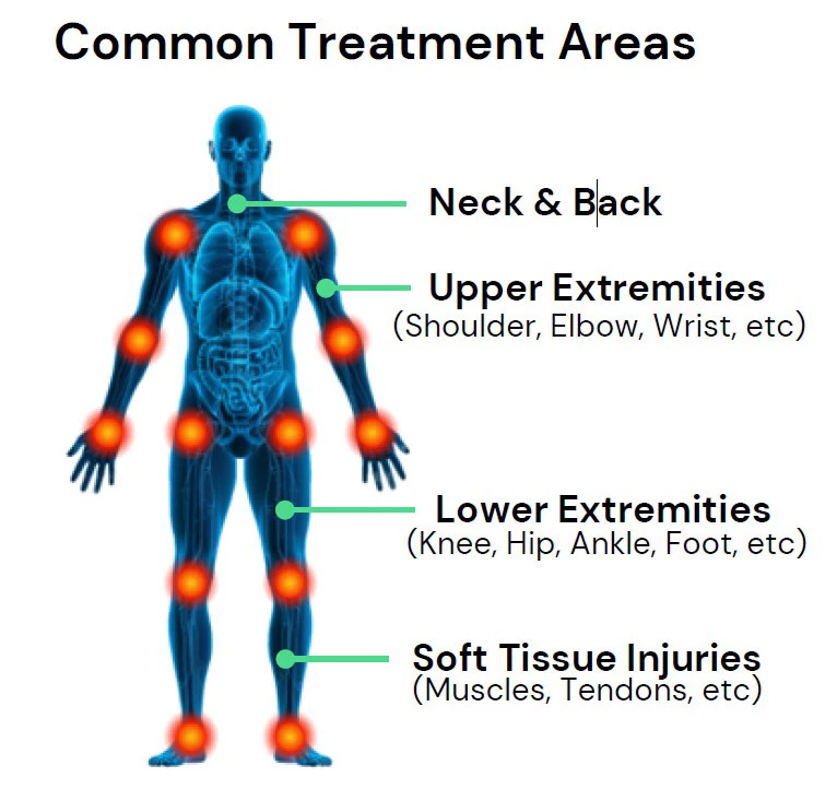 Chiropractic Burtonsville MD StemWave Brochure Anatomical Model StemWave Brochure Anatomical Model
